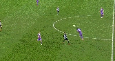动画 (202).gif